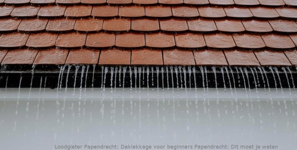 Daklekkage voor beginners Papendrecht: Dit moet je weten