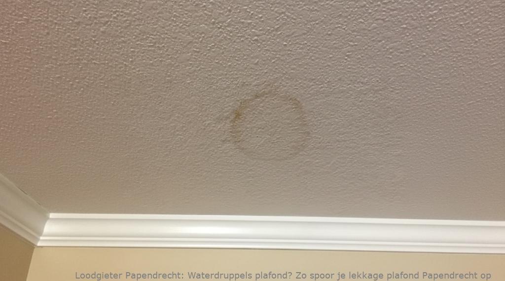 Waterdruppels plafond? Zo spoor je lekkage plafond Papendrecht op
