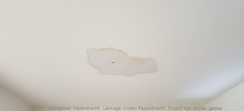 Lekkage vinden Papendrecht: Expert tips zonder gedoe