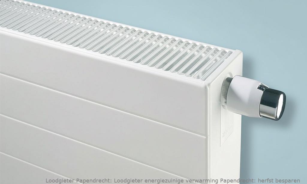 Loodgieter energiezuinige verwarming Papendrecht: herfst besparen