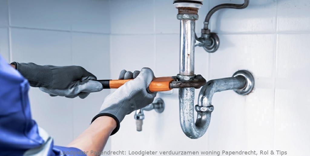 Loodgieter verduurzamen woning Papendrecht, Rol &amp; Tips