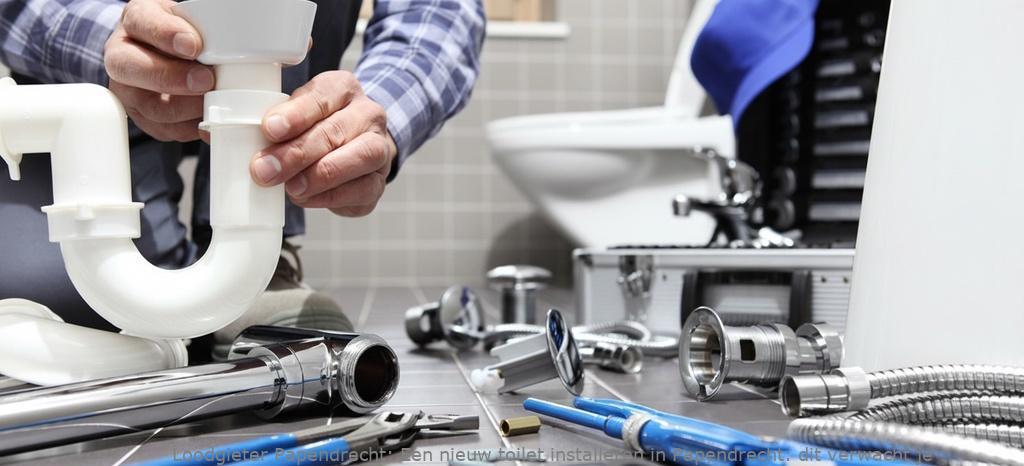 Een nieuw toilet installeren in Papendrecht: dit verwacht je