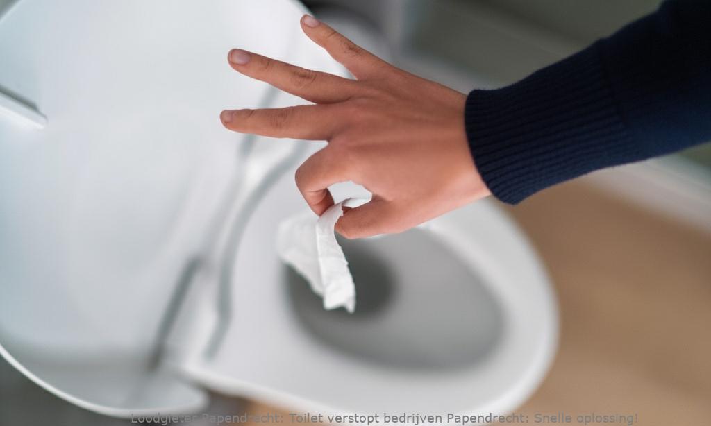 Toilet verstopt bedrijven Papendrecht: Snelle oplossing!