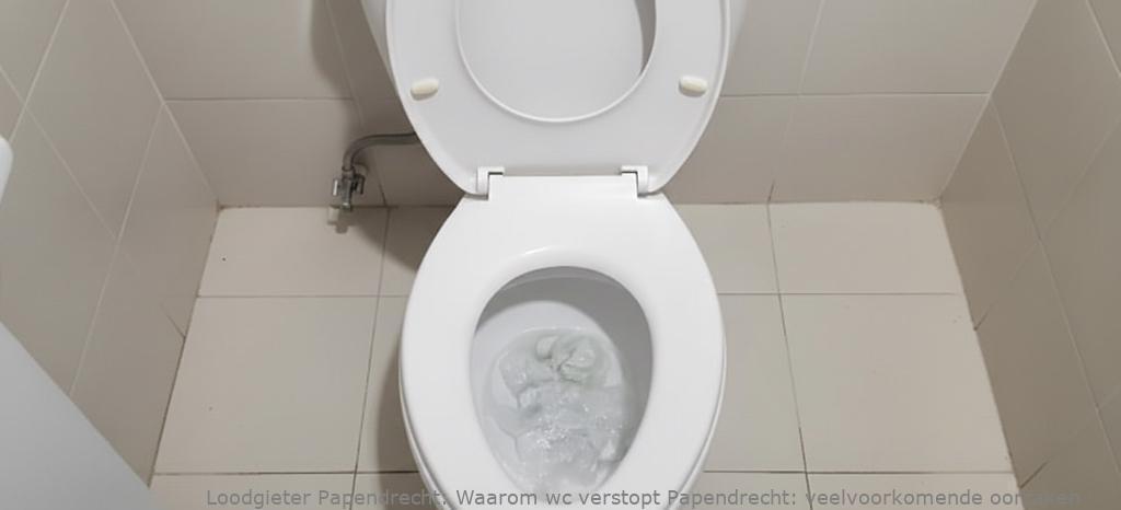 Waarom wc verstopt Papendrecht: veelvoorkomende oorzaken