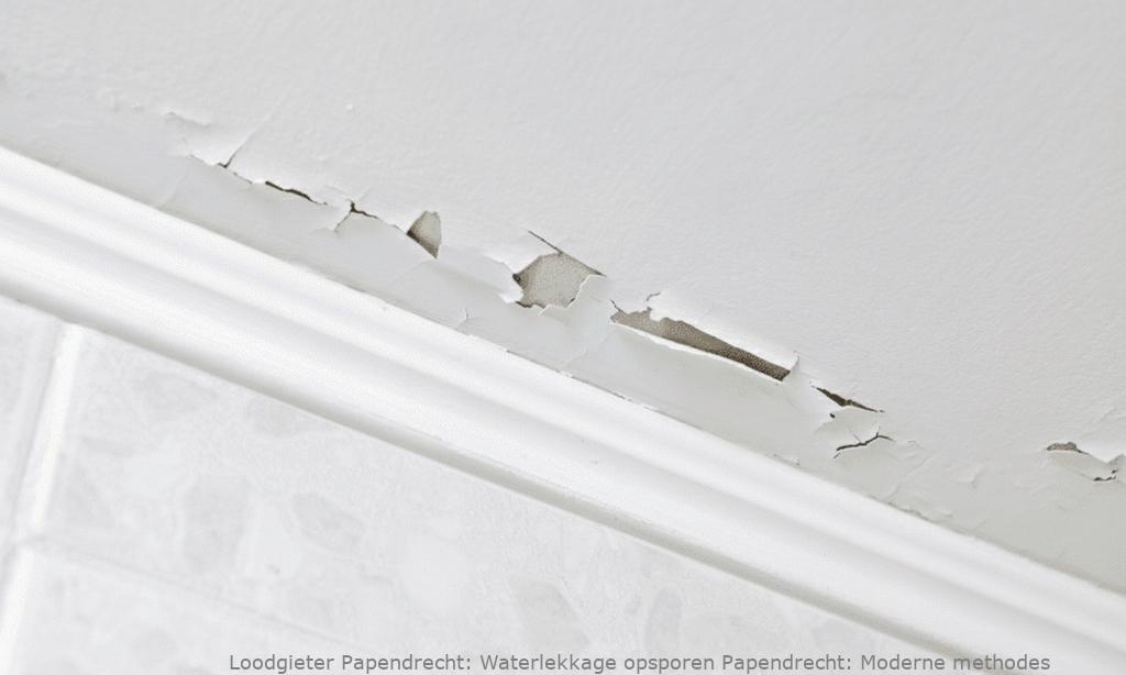 Waterlekkage opsporen Papendrecht: Moderne methodes