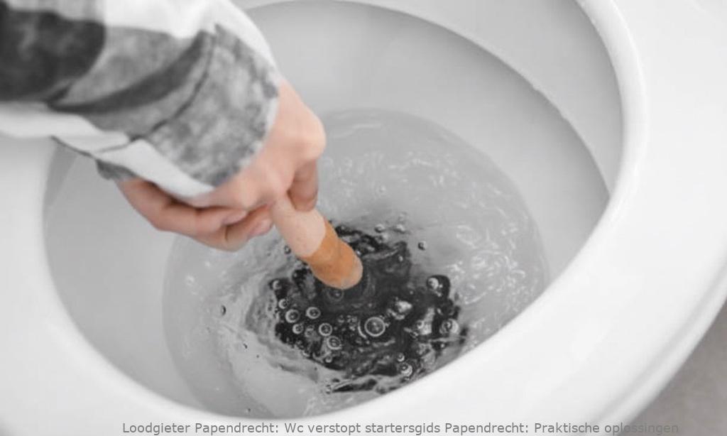 Wc verstopt startersgids Papendrecht: Praktische oplossingen